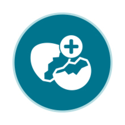 ICONS REPRESENTING HOW LIVECLEAR WORKS