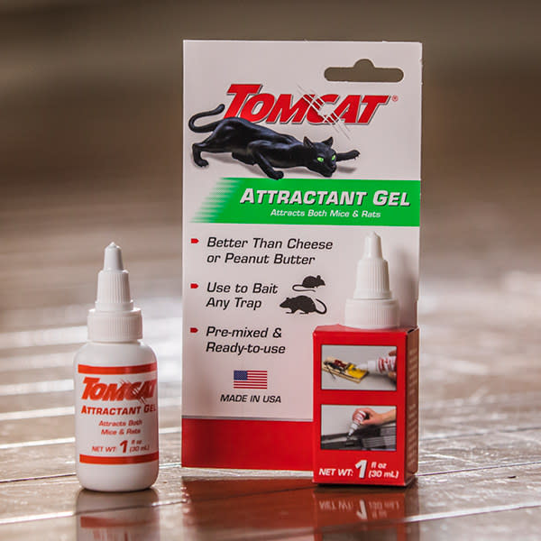 TOMCAT Mouse Size Glue Traps (4-Pack) - Thomas Do-it Center