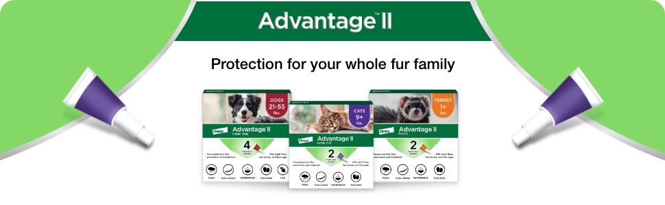 Advantage II Vet Recommended Flea Prevention for Large Cats 9 lbs 2 Monthly Treatments Walmart