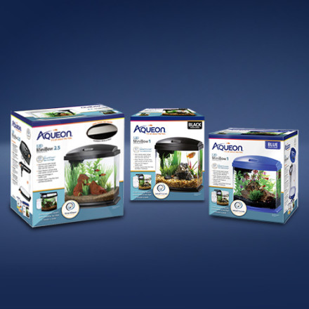 chewy fish tank accessories Abizoo Betta Decorations, Betta Tunnel Swim Tube Black Soft Edged Betta Hammock Bed, Shrimp Guppies Hideout Shelter Toys, Aquarium Moss Ledge Aqueon Black 5 Gallon LED