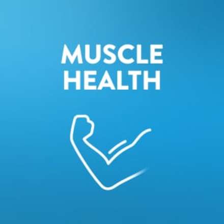 Ensure Original shakes with nutrients to support muscle health.