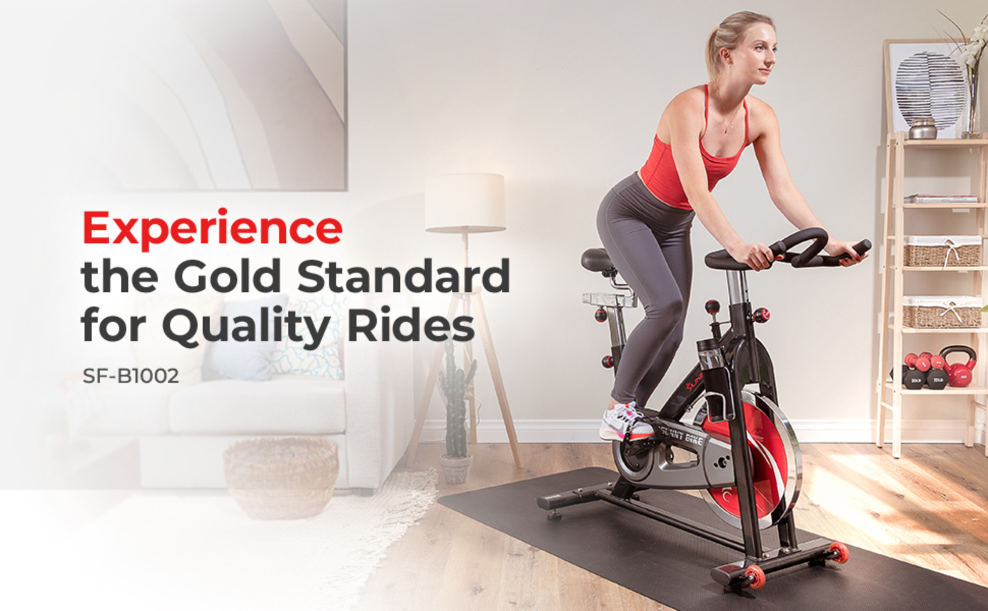 Sunny Health & Fitness Indoor Cycling Exercise Bike Workout 