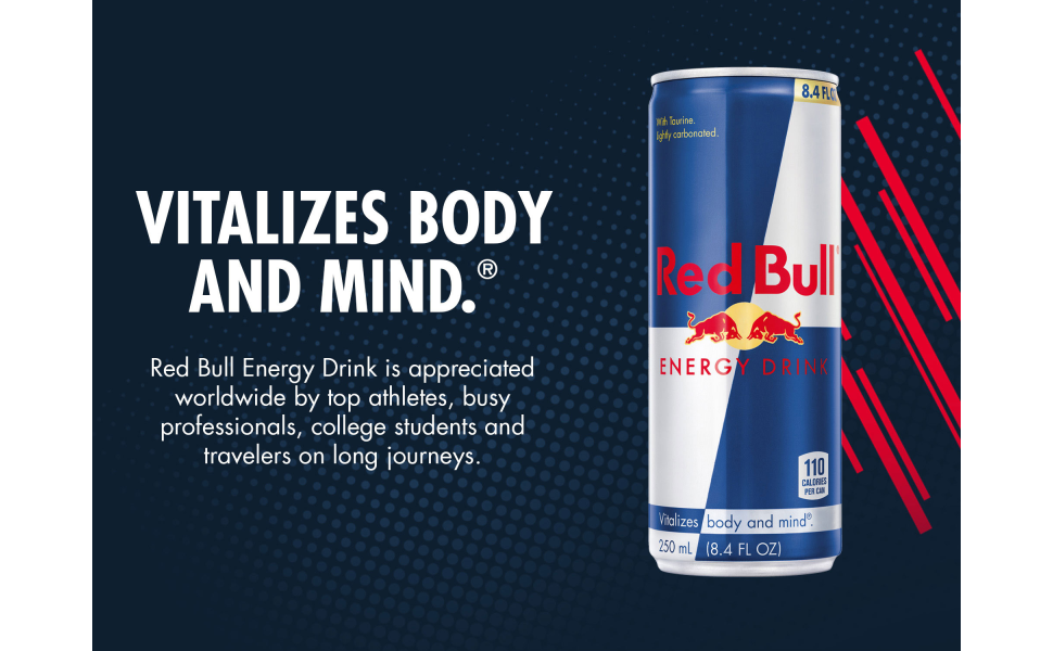 Red Bull Sugar Free Energy Drink 8.4 oz – Drift House