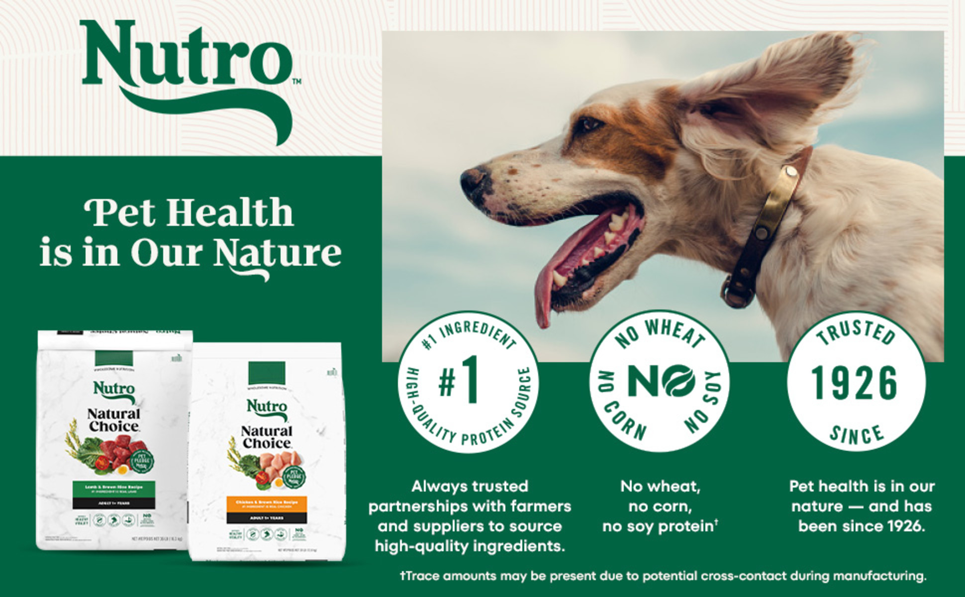 Nutro Natural Choice Chicken Brown Rice Recipe Large Breed Senior Dry Dog Food 30 lbs. Petco