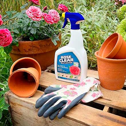 RoseClear 3 In 1 Action spray can be used in organic gardening