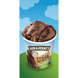 Ben & Jerry's Chocolate Fudge Brownie Frozen Dessert