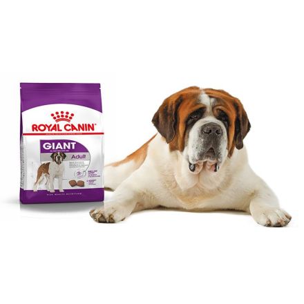 Shops royal canin pediatric junior giant dog