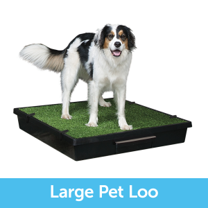 Petsafe pet loo portable on sale indoor & outdoor dog potty