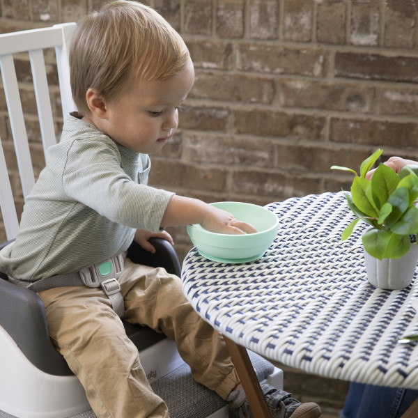 Ingenuity SmartClean Toddler Booster Seat – TOYCYCLE