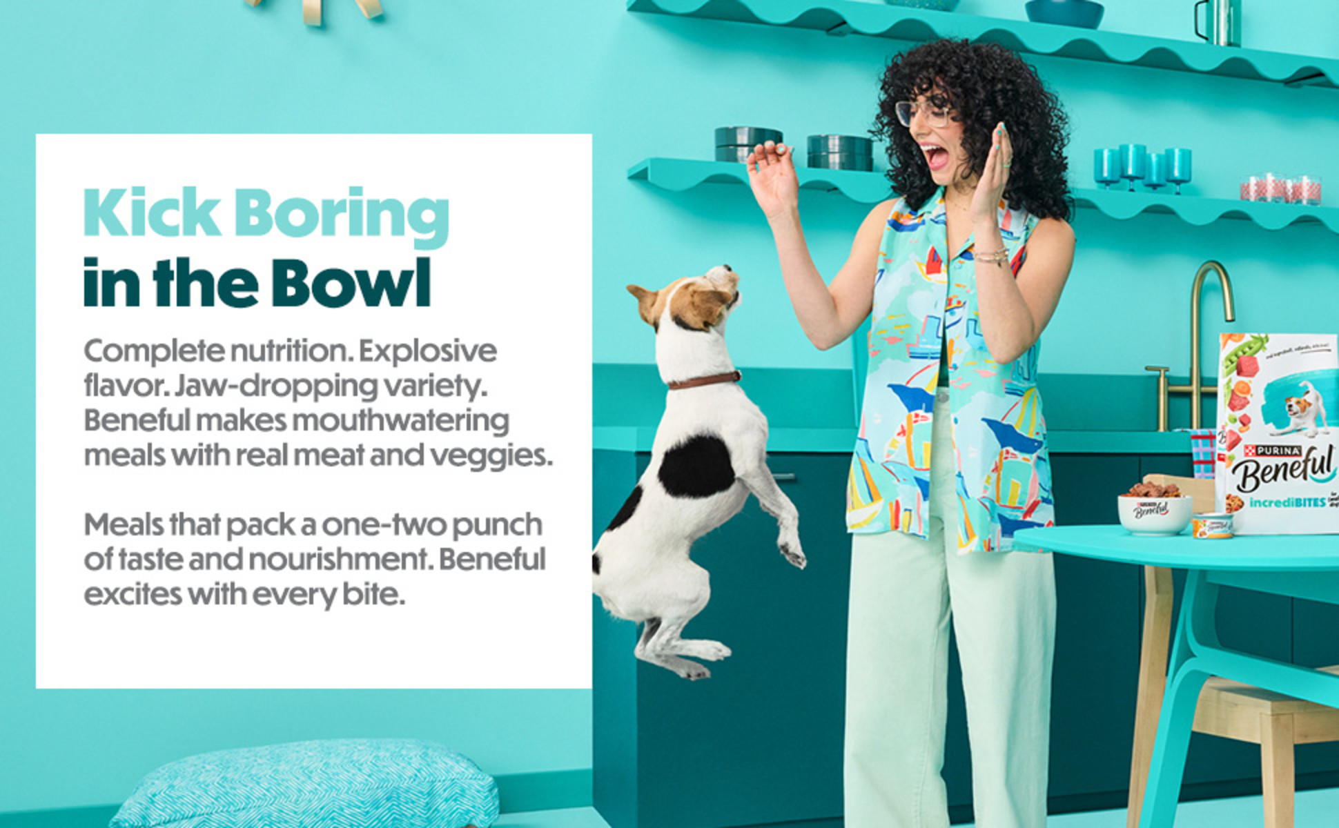 An excited small dog jumping next to its owner in a blue kitchen. A bag of Beneful is on the table.