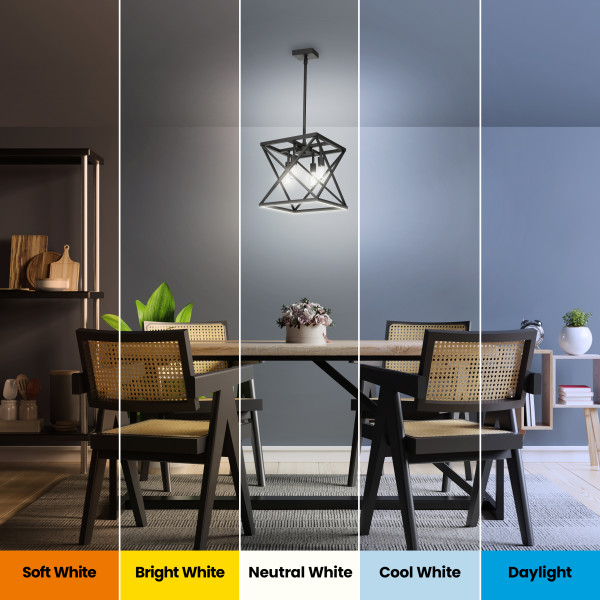 Feit Electric Katalyst 60-Watt 4-Light Matte Black Modern