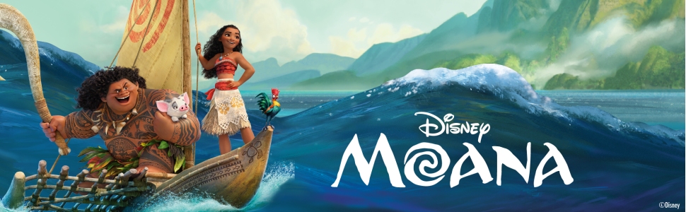 Disney Princess Moana Styling Head, 14-Piece Hair Play Set