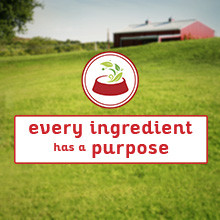 Every ingredient has a purpose