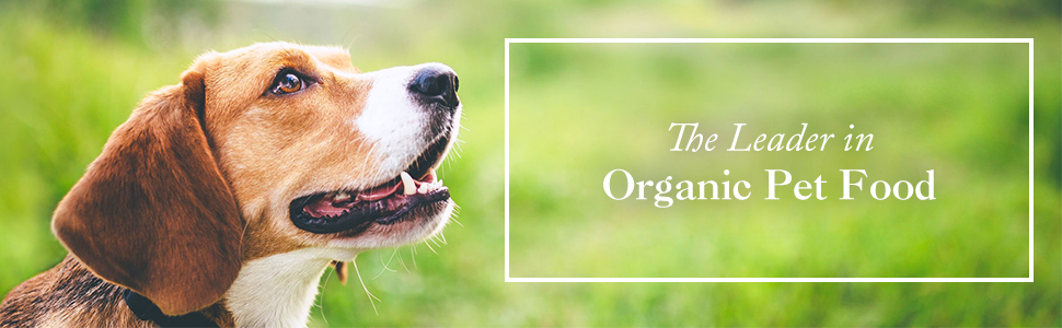petco organix dog food