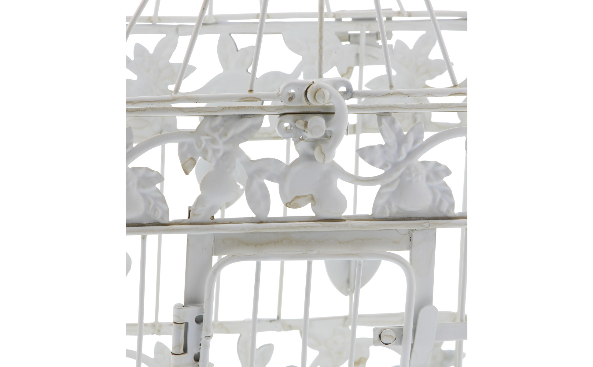 ログコレクション　birdcage Amazon.co.jp: ONE PIECE Log Collection “BIRDCAGE