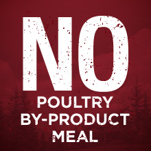 No poultry by product meal