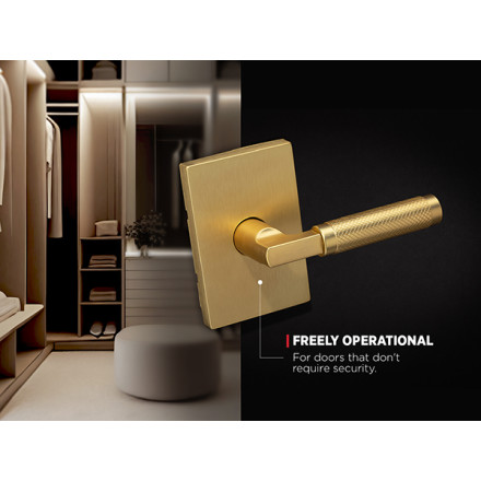 6f6e9429b7d6dc4637dbbe9256135e