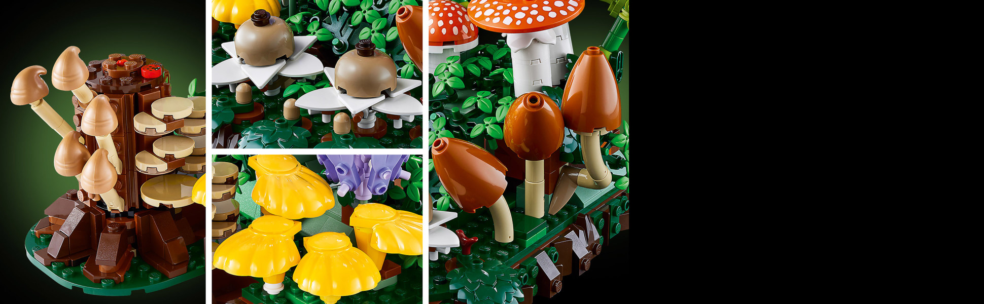 Discover more about woodland fungi as you recreate fiber cap, earthstar, chanterelle, bonnet and other mushroom varieties.
