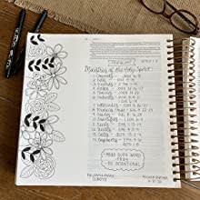 DaySpring - Illustrating Bible NIV Pink (Spiral Bound) 