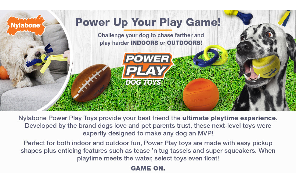 Nylabone Small Power Play Shake A Toss Toy