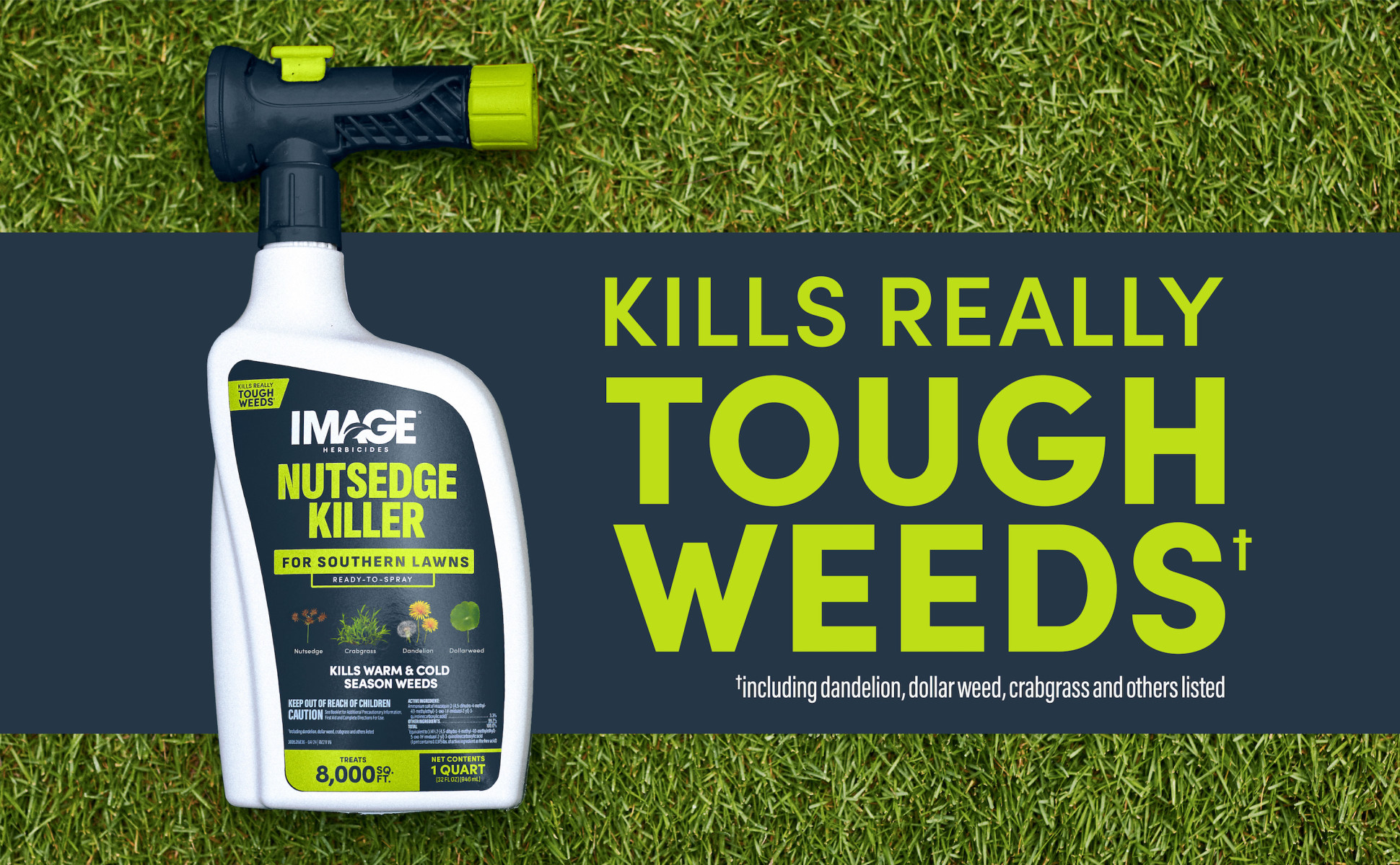 IMAGE 32 oz. 8,000 sq. ft. Nutsedge Weed Killer Ready-To-Spray 100551405 -  The Home Depot