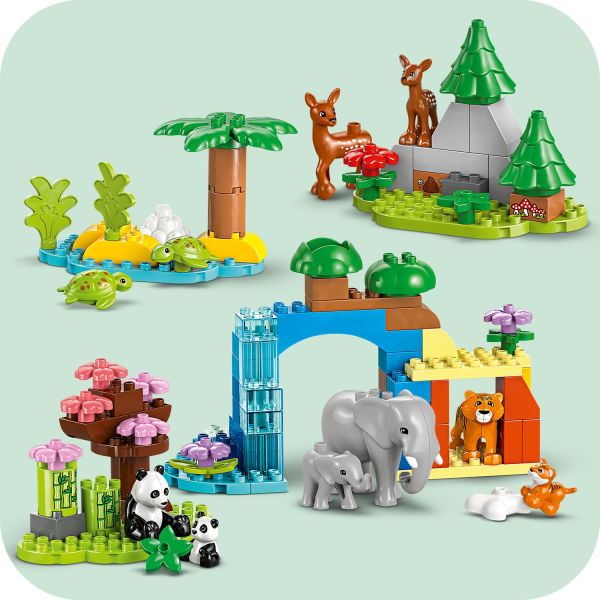The 5 animal homes show the world's diverse habitats.