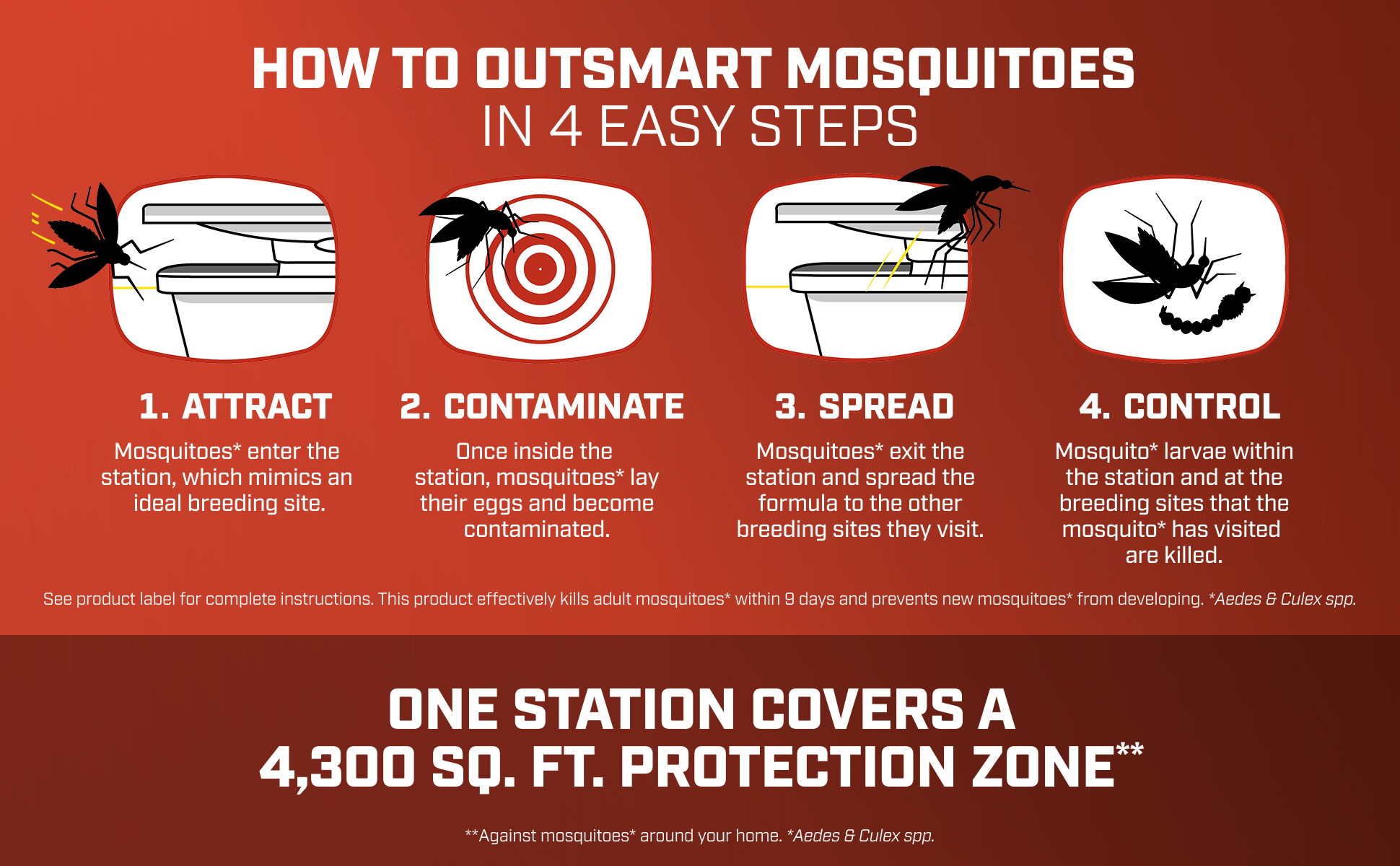 Chart on How to Outsmart Mosquitoes in 4 Easy Steps.