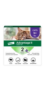 Advantage ii flea treatment for shop large cats over 9 lbs