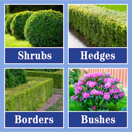 Lilly Miller 16 lbs. Evergreen, Azalea and Rhododendron Fertilizer