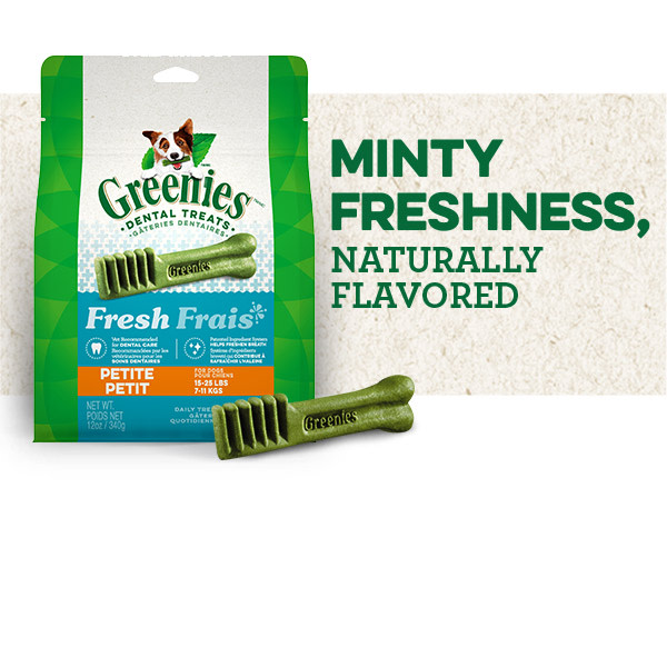 Greenies grain free regular hotsell