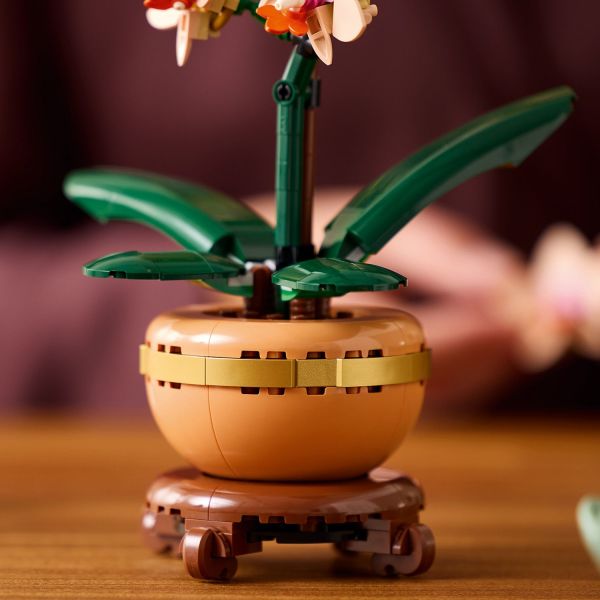Features green leaves and a terracotta-colored flowerpot.