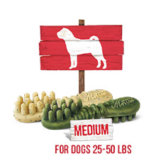 Medium For Dogs 25-50 lbs