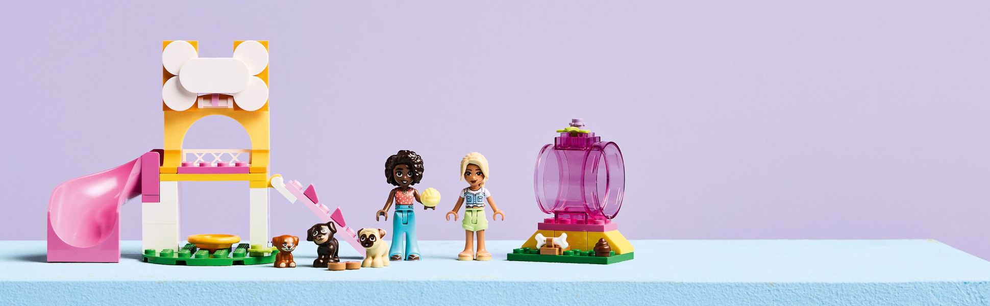 An imaginative gift for dog-lovers