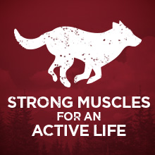 Strong muscles for an active life