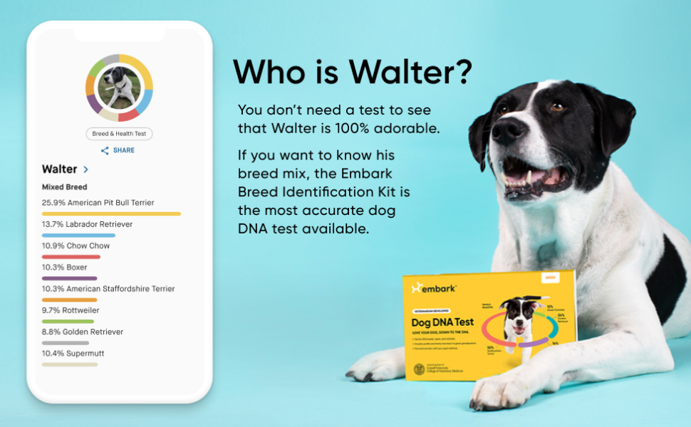 Embark Vet Dog DNA Breed Identification Kit Petco