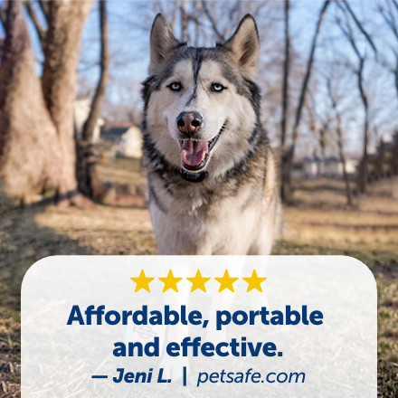 PetSafe Original Wireless Electric Fence for Dogs Petco