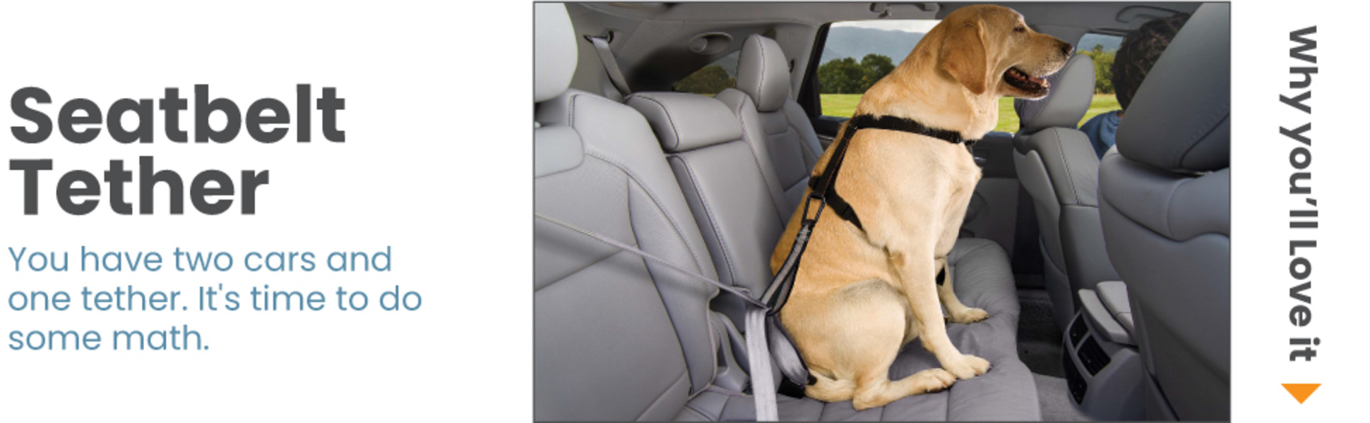 Kurgo Pet Safety Tether with Carabiner Use with Car Safety Dog Harness Seat  Belt, 10