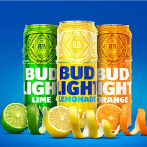 A SABAUDIA IL CONVEGNO "VENTOTENE L'ISOLA SOTTILE" - Latina TU - Foto 8