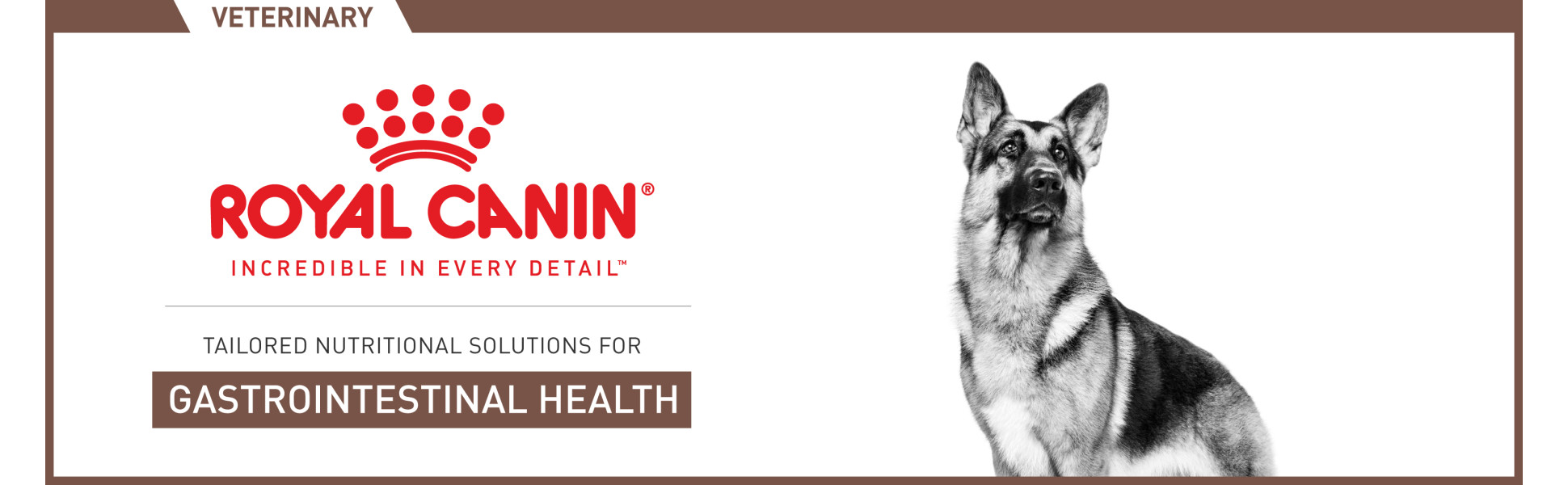Royal Canin Veterinary Diet Gastrointestinal Dry Dog Food