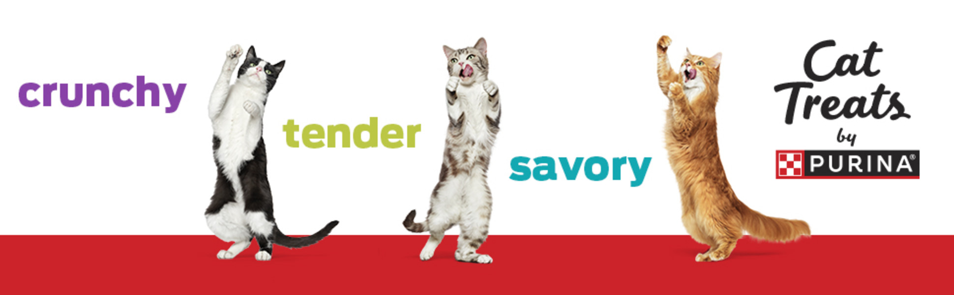 Three active cats, all on their hind legs, appear to be dancing on a red banner.