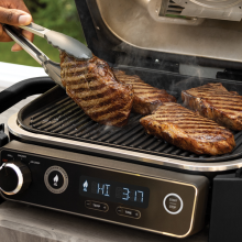 Ninja Woodfire 3-in-1 Outdoor Grill, Master Grill, BBQ Smoker, & Outdoor  Air Fryer with Woodfire Technology, OG700