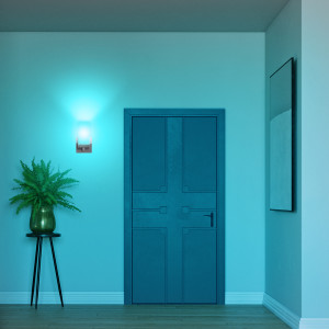 Straight closeup shot of an entrance to show that this bulb fits any indoor or outdoor light fixture with a Medium E26 screw base socket like lamps, chandeliers, wall sconces, and hanging pendant.