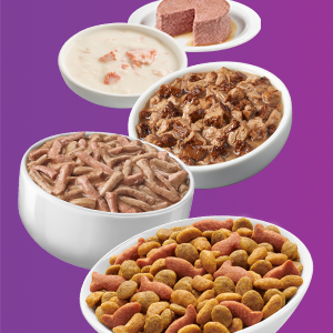 Full bowls of Friskies pate and gravy wet food recipes dry cat food kibbles and complements