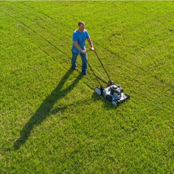 Murray 21 in. 140 cc Briggs and Stratton Walk Behind Gas