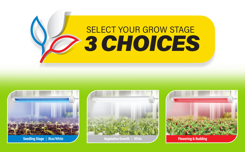 その他 LED Grow Light JB-360EVO 360W その他 LED Grow Light JB-360EVO 360W その他 LED Grow Light JB