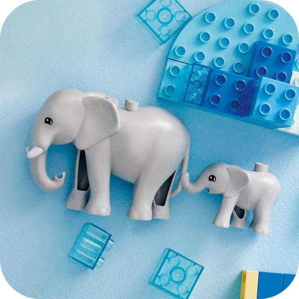 The calf's trunk clips to the elephant's tail.