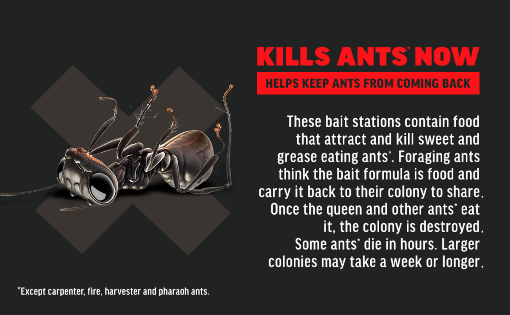 AMDRO Ant Killing Bait Stations with Stakes 
