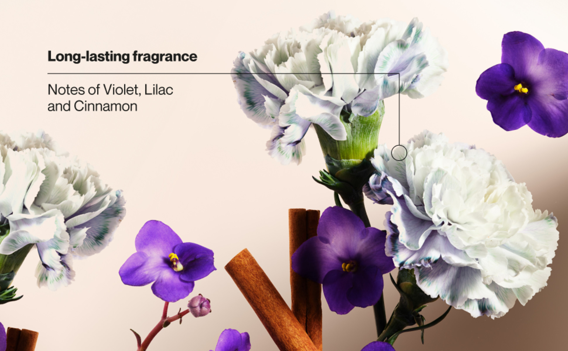 Suave Women’s Deodorant tropical fragrance with notes of sweet pea, violet and berries