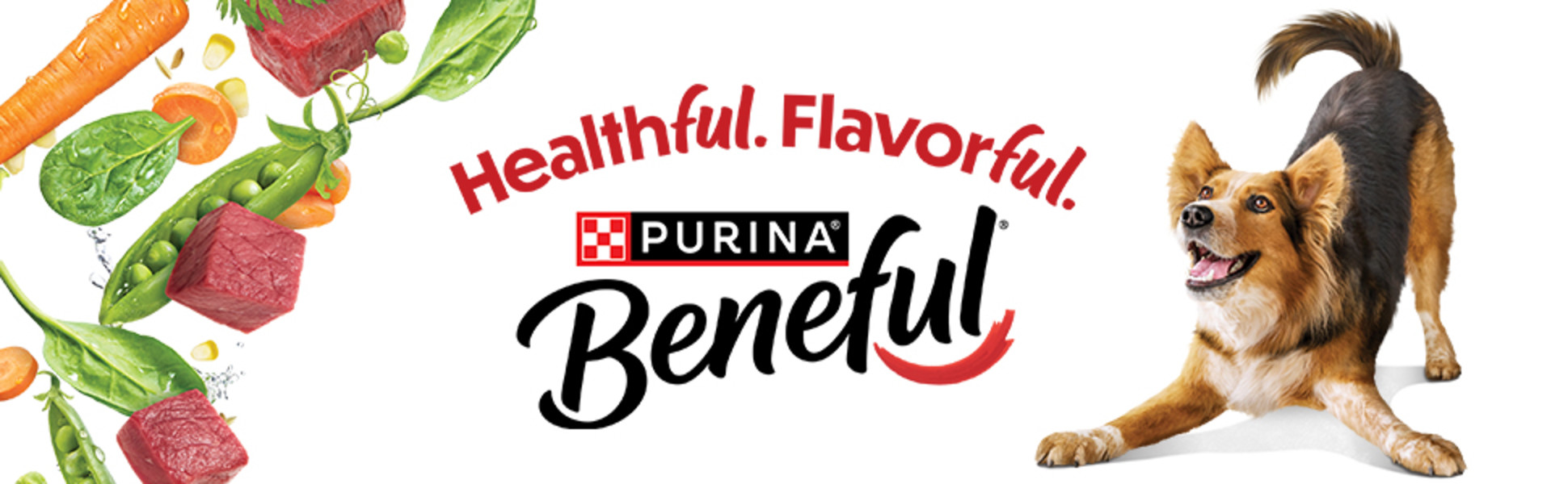 Falling ingredients next to the words ‘Healthful. Flavorful. Beneful’ and an excited dog.