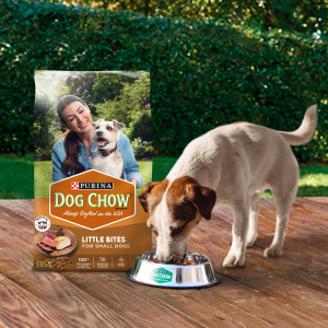 Purina dog chow store little bites walmart